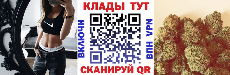 Виды наркотиков купить Реутов Амфетамин  Кокаин  Alpha-PVP  МЕФ  Гашиш 
