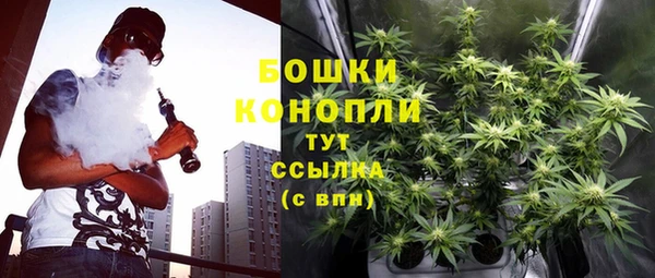 ГАЛЛЮЦИНОГЕННЫЕ ГРИБЫ Лабытнанги