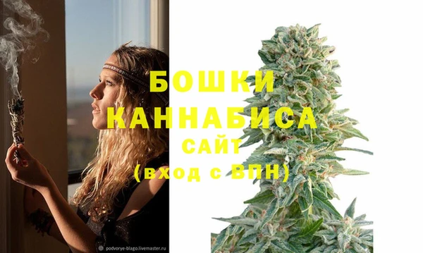 ГАЛЛЮЦИНОГЕННЫЕ ГРИБЫ Лабытнанги