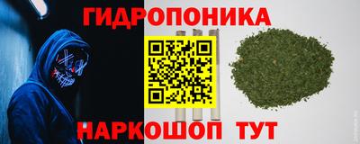 мяу мяу мука Кулебаки