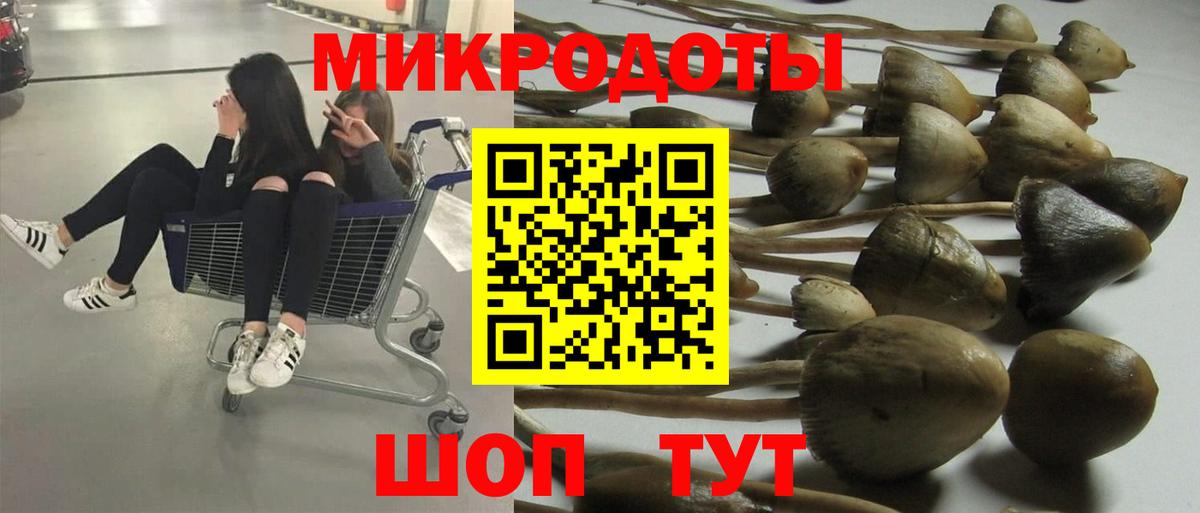 Реутов  Псилоцибиновые грибы Psilocybe  Вход с VPN 